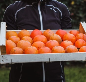 caquis blandos - caja (45 kg)