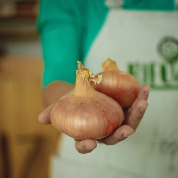 onions-1-kg